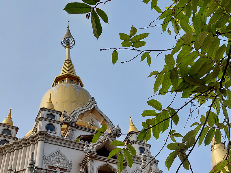 Ảnh zoom 2x trong điều kiện đầy đủ sáng, được chụp từ Galaxy A52 5G.