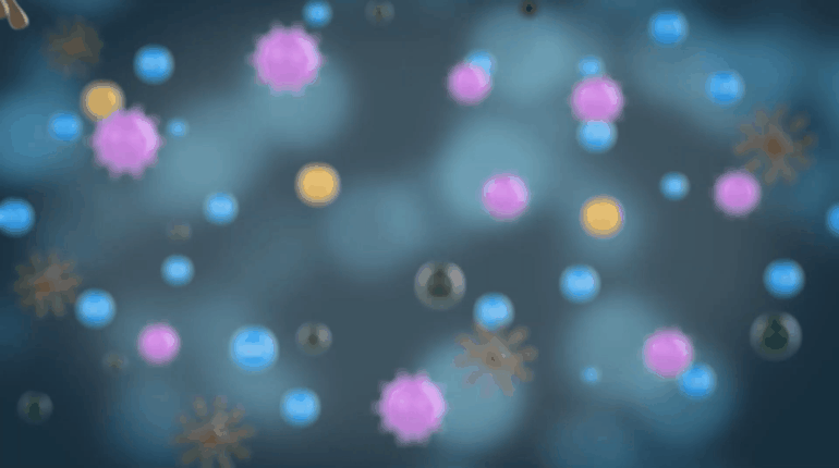 Detox không khí với máy lạnh E2 của Toshiba Detox không khí với máy lạnh E2 của Toshiba