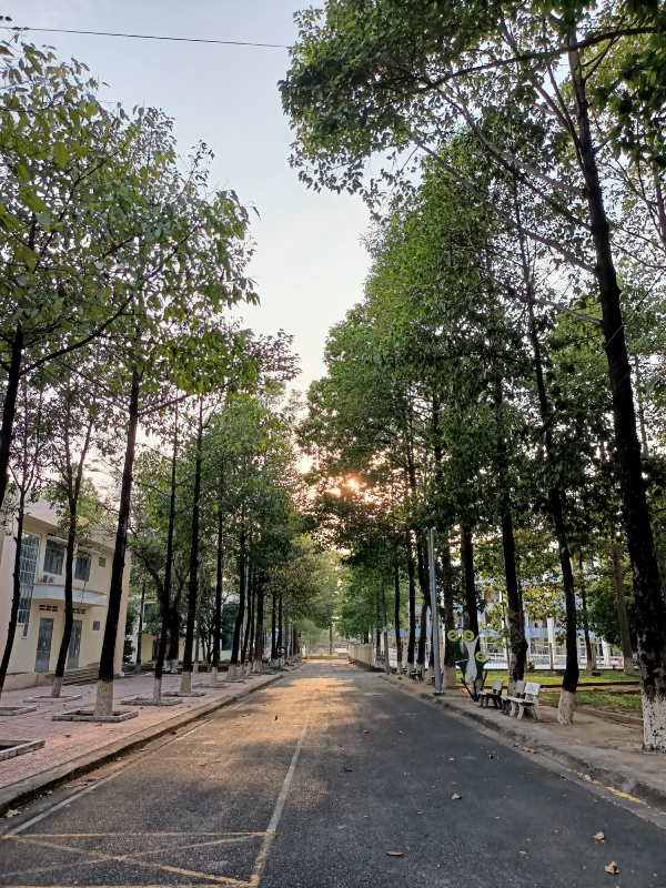 Ảnh chụp trong điều kiện ánh sáng đầy đủ 