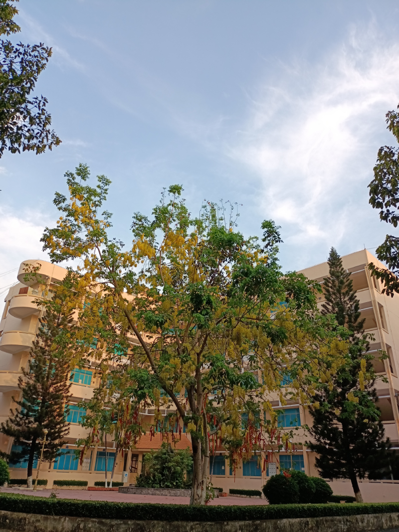 Ảnh chụp trong điều kiện ánh sáng đầy đủ 