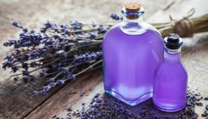 Top 7 dòng nước hoa Lavender giá rẻ được yêu thích và tin dùng nhiều nhất