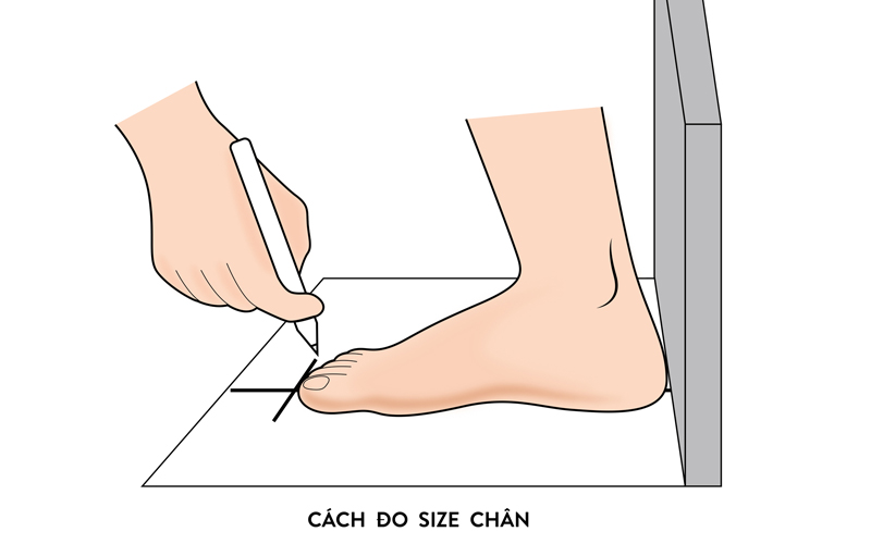 Bước 2: Cố định kích thước chân trên giấy