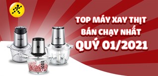 Top 3 máy xay thịt bán chạy nhất quý 1/2021 tại Điện máy XANH