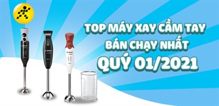Top 3 máy xay cầm tay bán chạy nhất quý 1/2021 tại Điện máy XANH
