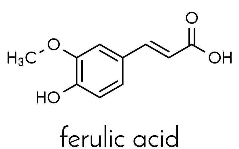 Ferulic acid là gì? Tác dụng của Ferulic acid đối với làn da của bạn?