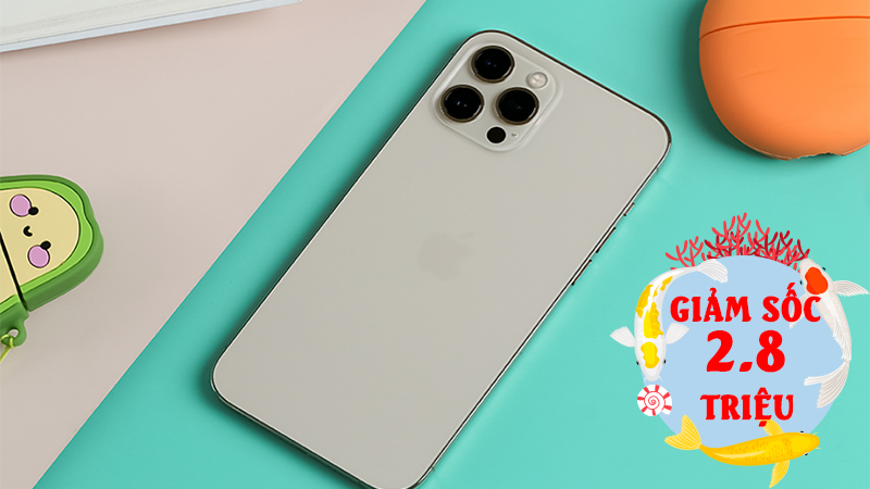 iPhone 12 Pro Max iPhone 12 Pro Max