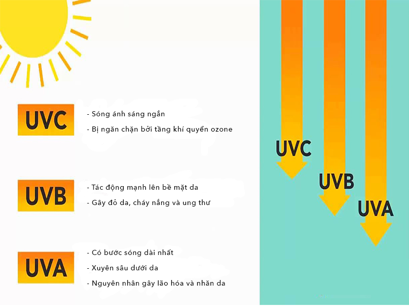 Categories of UV rays and their effects