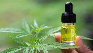 CBD là gì? Công dụng của Cannabidiol trong chăm sóc da