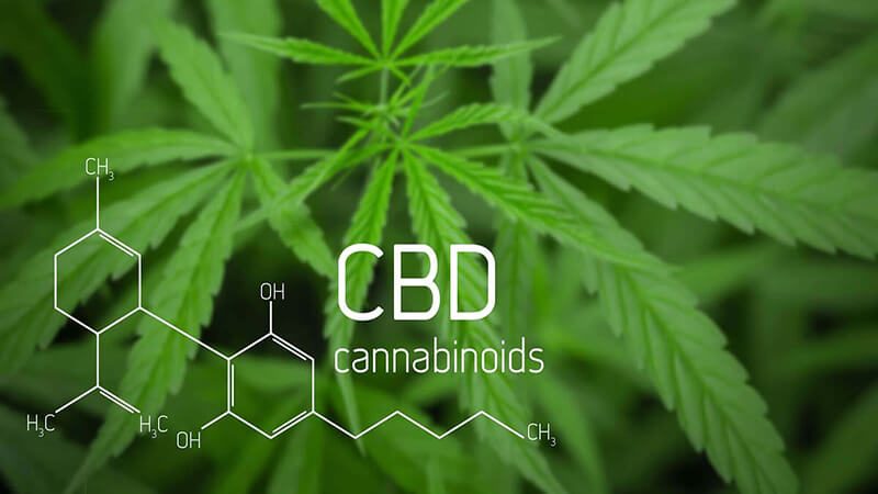 What is CBD? Uses of Cannabidiol in skin care