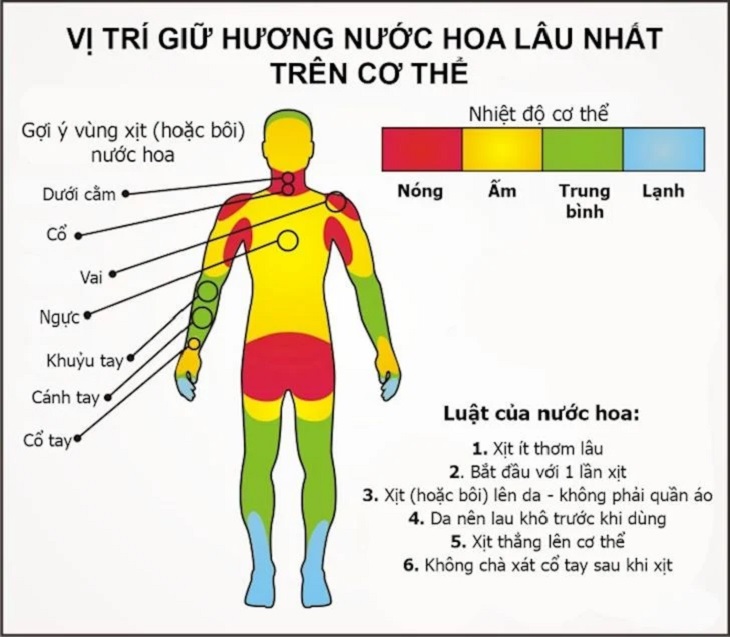 Chọn vị trí xịt nước hoa phù hợp