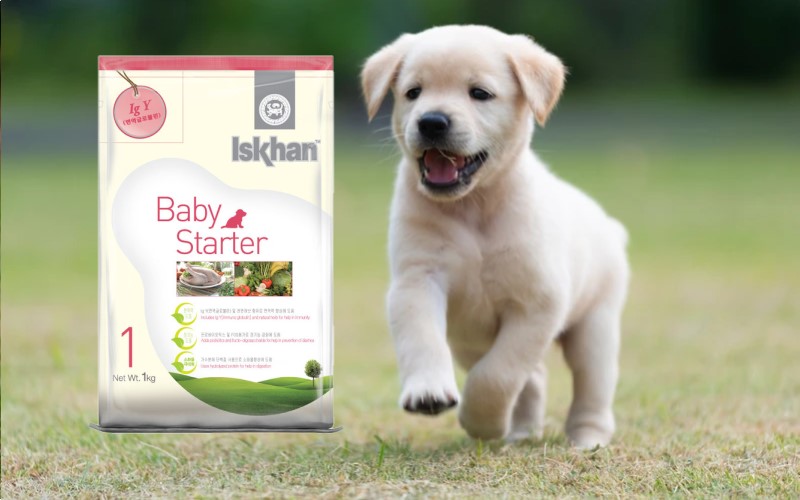 Thức ăn cho chó con Iskhan Baby Starter