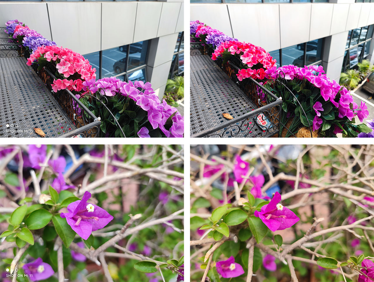 So sánh ảnh chụp tự động bằng Mi 11 5G và Mi 11 Pro