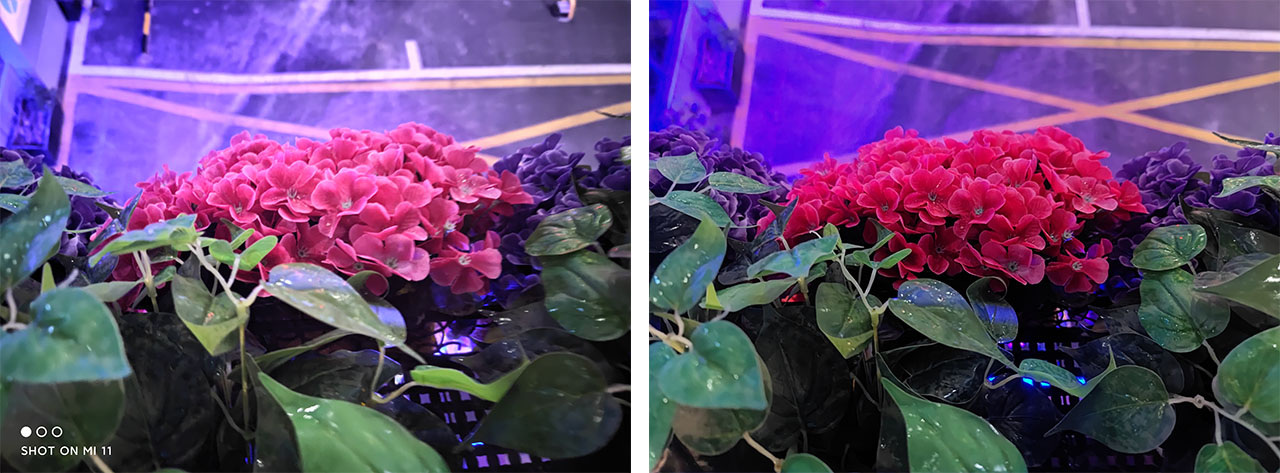 So sánh ảnh chụp tự động