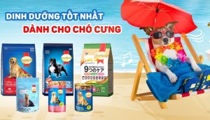 Thức ăn cho chó Smartheart có tốt không?