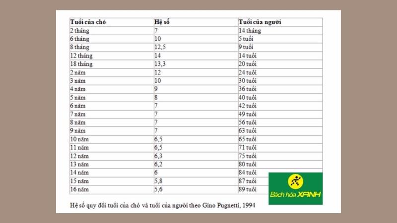 Hệ số quy đổi tuổi chó theo tuổi người (nguồn: Gino Pugnetti, 1994)