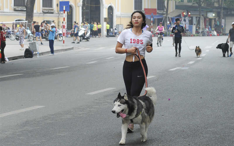 Người yêu có thể không nhưng chó phải có 1 con? 10 lợi ích khi nuôi chó