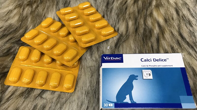 Top 7 best calcium pills for dogs today