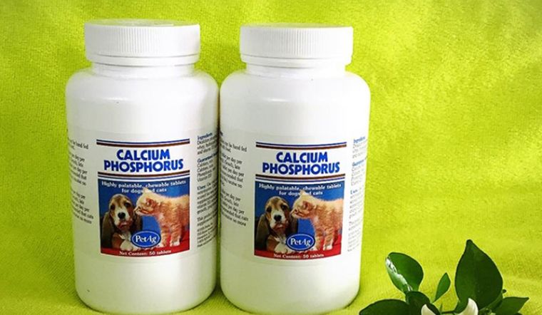 Top 7 thuốc canxi cho chó tốt nhất hiện nay