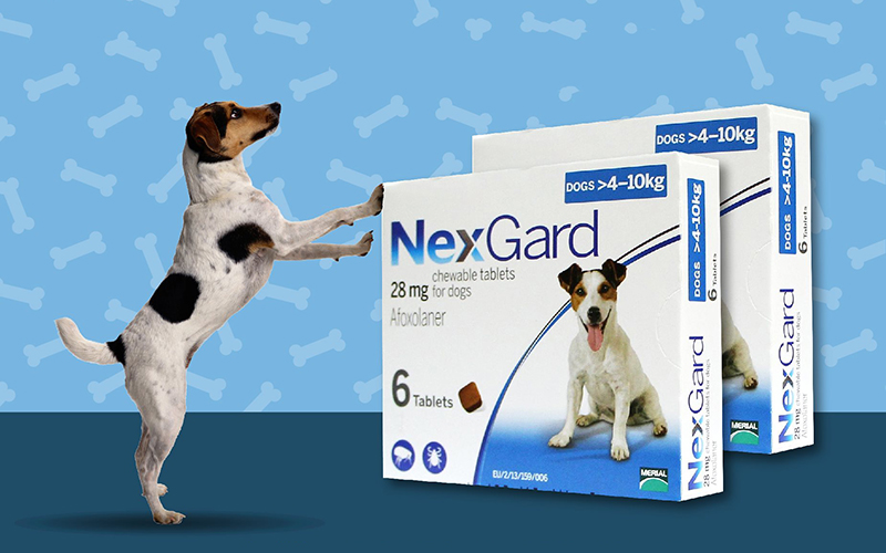 Thuốc trị ve chó Nexguard