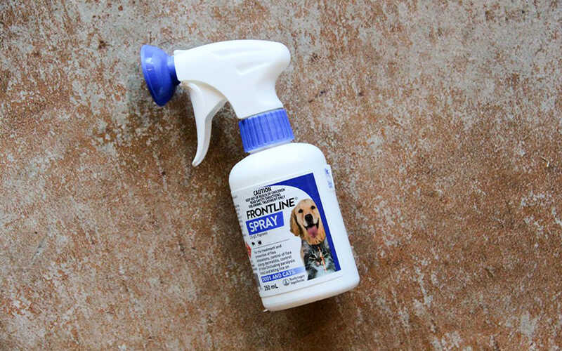 Thuốc trị ve chó Frontline Spray
