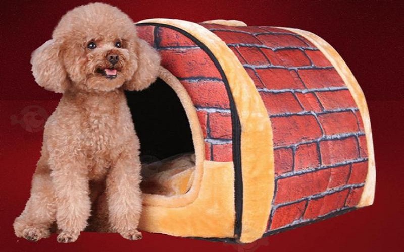 Top 8 models of houses, the most beautiful and quality dog cages