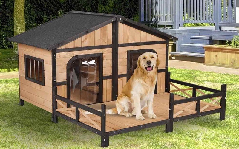 Top 8 models of houses, the most beautiful and quality dog cages
