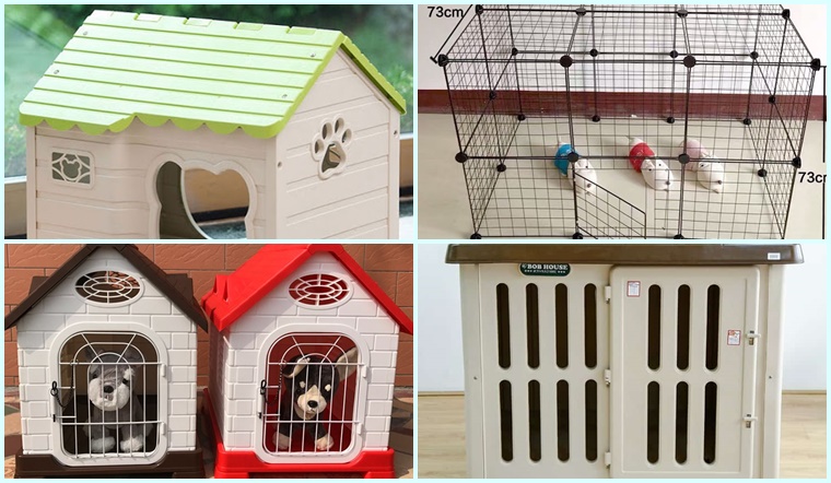 Chuồng chó bằng nhựa có tốt không? Top 6 mẫu chuồng chó nhựa đẹp