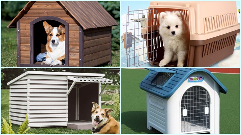 Are plastic dog kennels good? Top 6 beautiful plastic dog cages