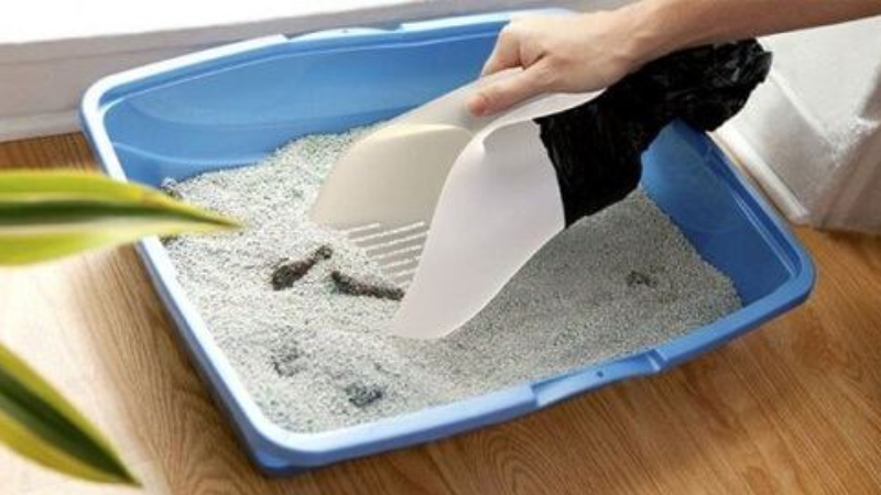 Khay vệ sinh dùng cát