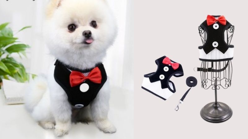 🧧❤️ÁO VÁY TẾT TRUYỀN THỐNG CHO CHÓ MÈO❤️🧧 | Shopee Việt Nam