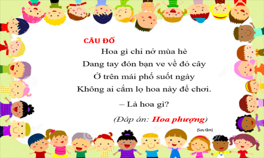 Câu Đố Về Lọ Hoa: Khám Phá Những Bí Ẩn Thú Vị Qua Những Câu Đố