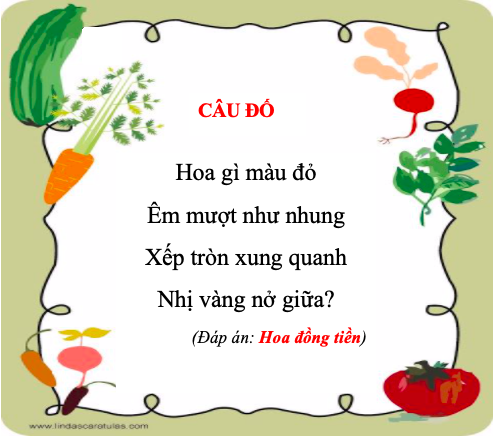 Những câu đố về hoa hay nhất kèm đáp án