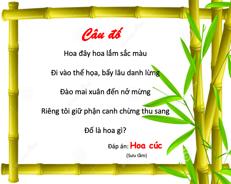 Những câu đố về hoa hay nhất kèm đáp án