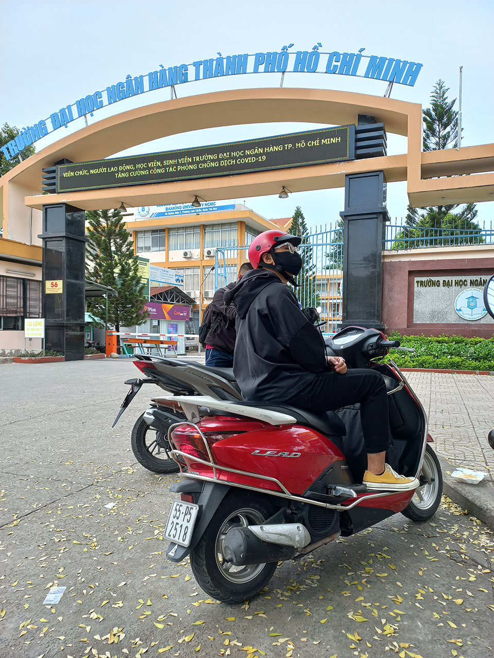 Hai anh em mình là sướng rồi vì đồ dùng thịt cá đều do người anh còn lại mua hết Hai anh em mình là sướng rồi vì đồ dùng thịt cá đều do người anh còn lại mua hết