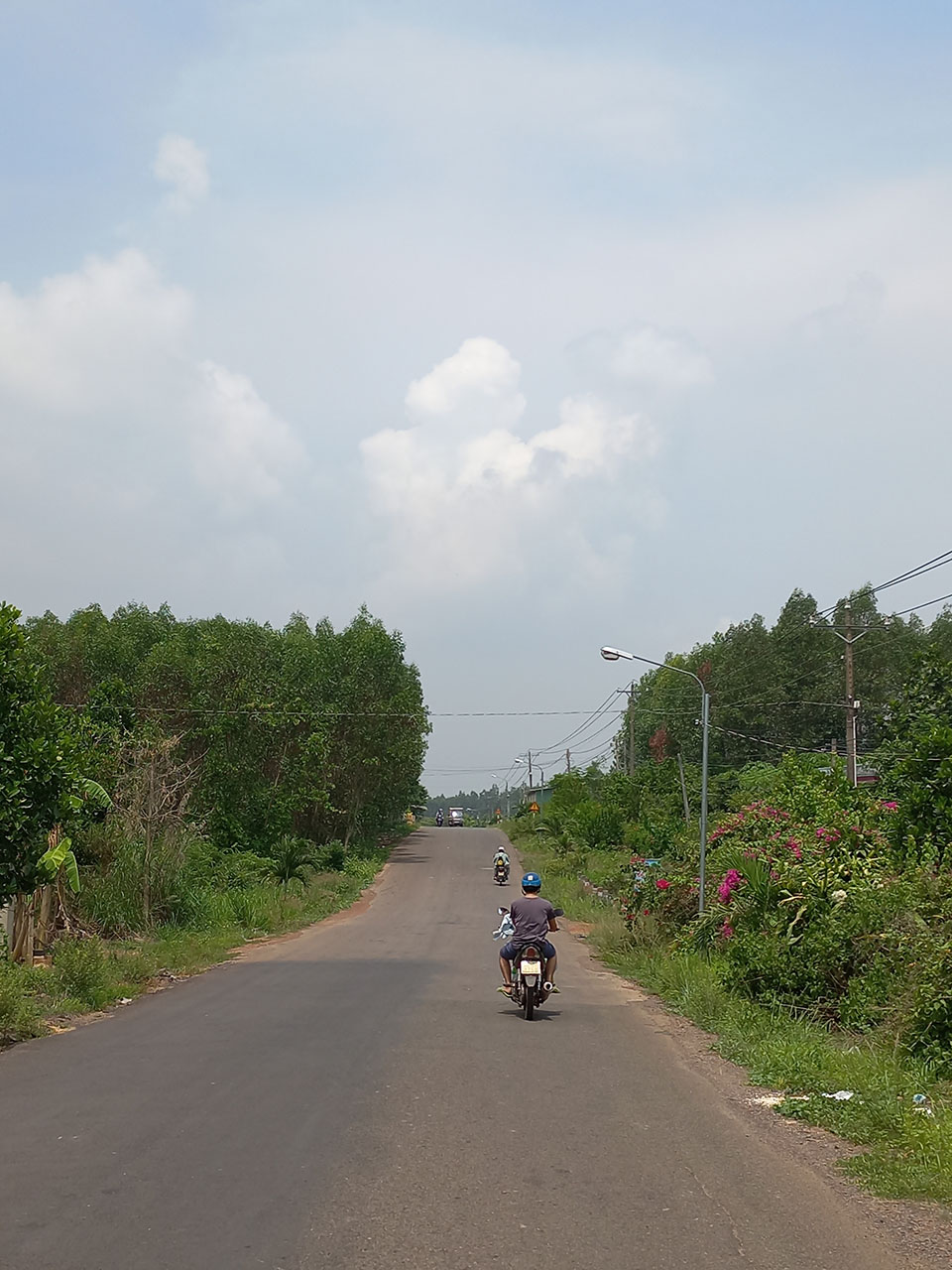 Hôm nay trời đẹp và đầy nắng nên mình đã chụp một tấm Hôm nay trời đẹp và đầy nắng nên mình đã chụp một tấm