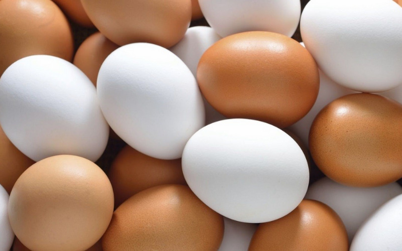 Ăn trứng gà ta có thật sự bổ hơn trứng gà công nghiệp?