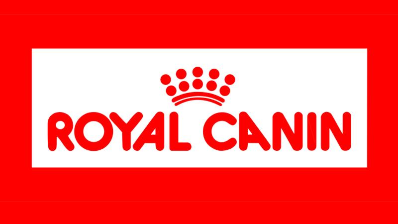 Thương hiệu thức ăn royal canin cho mèo