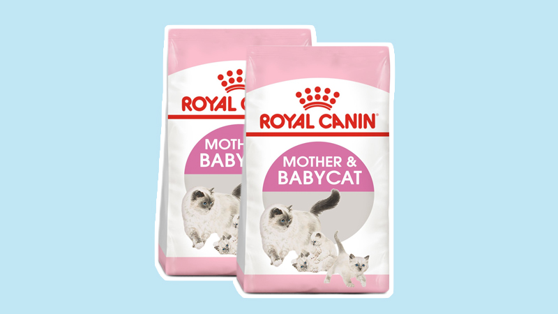 Royal Canin Mother & Baby Cat