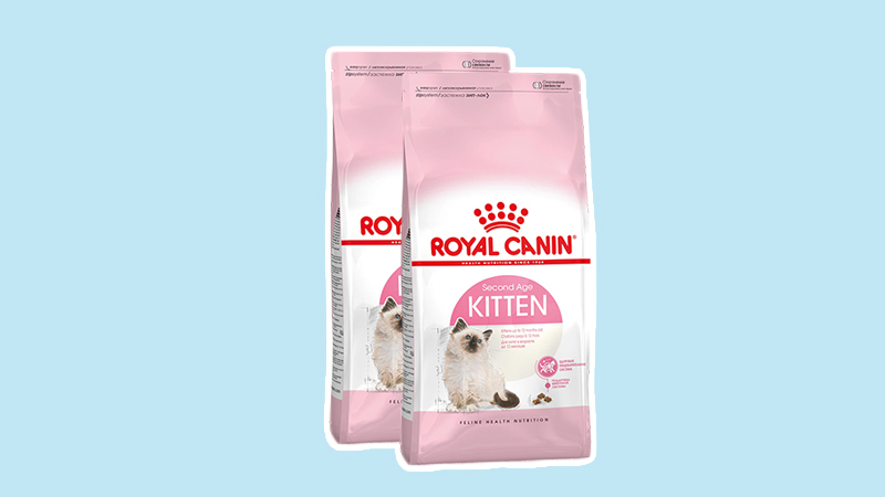 Royal Canin Kitten