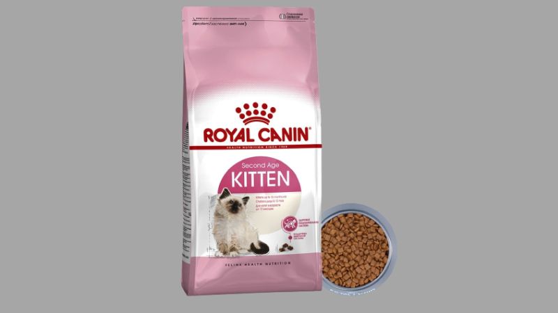 Hạt Royal Canin Kitten thức ăn dành cho mèo con từ 2 đến 12 tháng tuổi