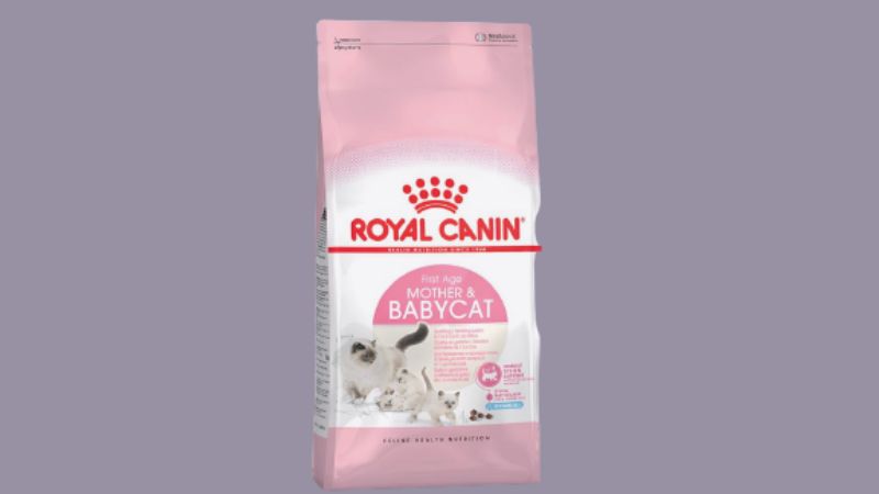 Hạt cho mèo Royal Canin Mother & Babycat dành cho mèo con và mèo mẹ