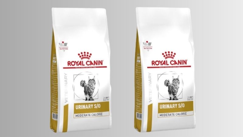 Hạt royal canin cho mèo bị sỏi thận – Royal Canin Urinary S/O