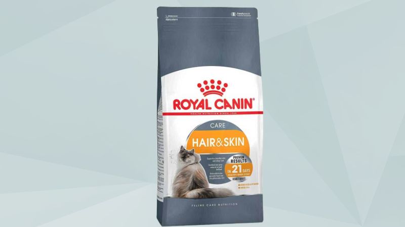 Hạt Royal Canin cho mèo anh lông ngắn – Royal Canin British Shorthair