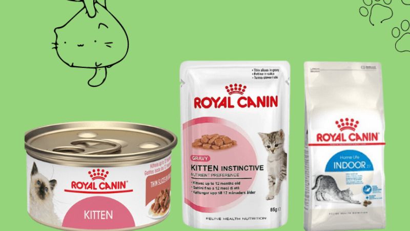 Cách phân biệt sản phẩm Royal Canin hiệu thật giả