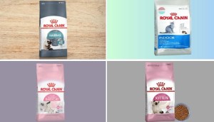 Thức ăn cho mèo royal canin gồm những loại nào