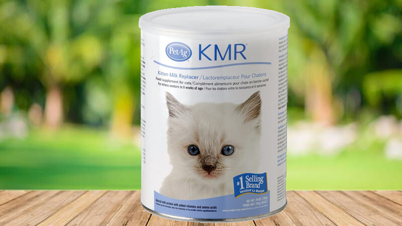 Sữa KMR cho mèo
