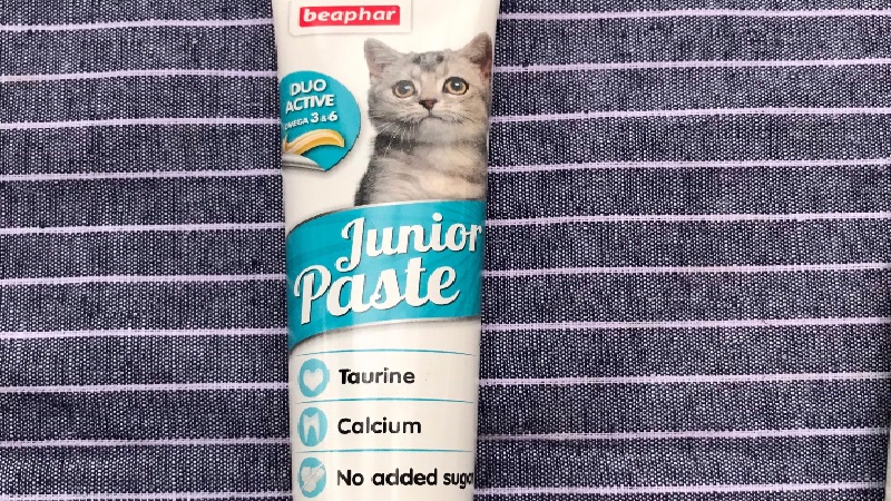 Duo Active Junior Kitten Nutrition Gel