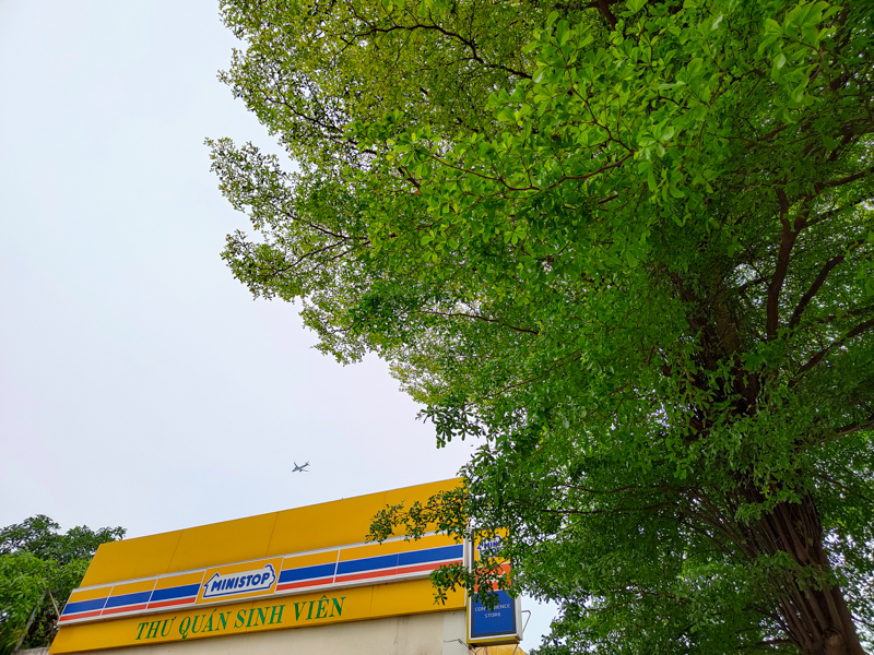 Đánh giá camera Realme 8 Pro