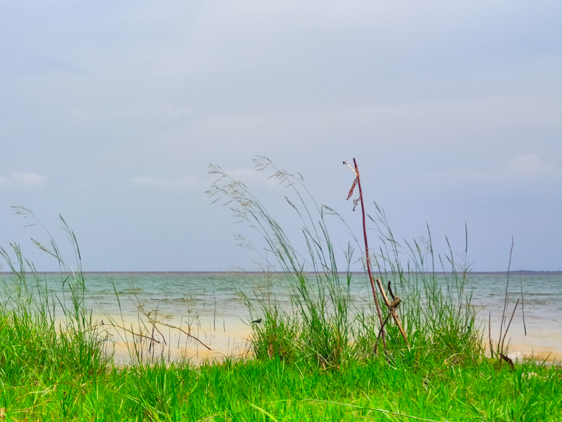 Đánh giá camera Realme 8 Pro