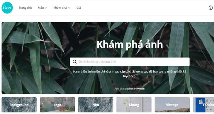 Canva là gì? Chức năng của ứng dụng thiết kế đồ họa miễn phí Canva > Kho ảnh